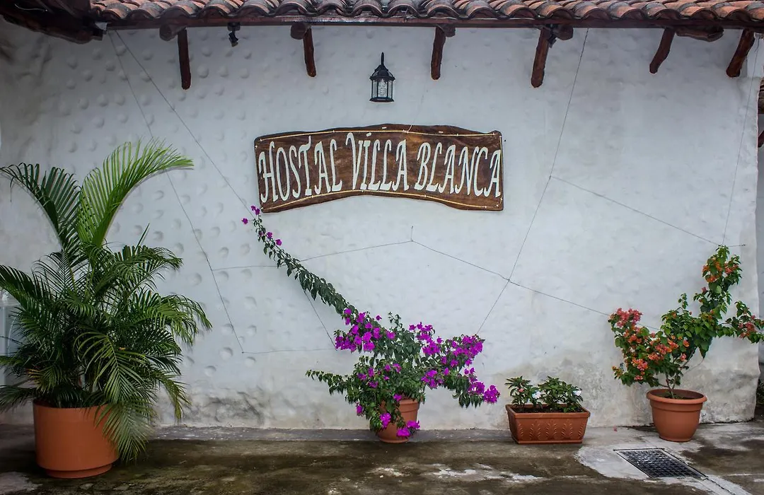 Hostal Villa Blanca, Metapan-1